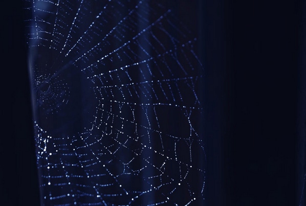 Web on a dark background