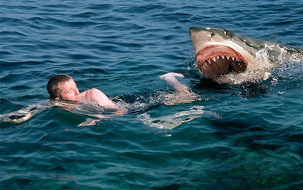 HIPAA, HITECH and Shark Attacks: Here's What MSPs Need to Know