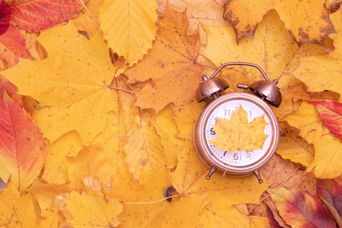 Clock in autumn leaves