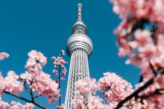ServiceNow 2022 Fall Tokyo release ServiceNow 2022 Fall Tokyo release
