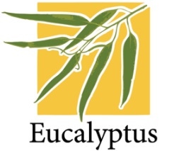 Eucalyptus Systems Extends Private Cloud to China
