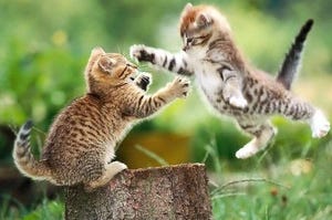 HP: Caught In ChannelWeb, ChannelInsider Cat Fight