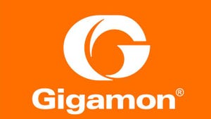 Gigamon Launches Professional Services Program