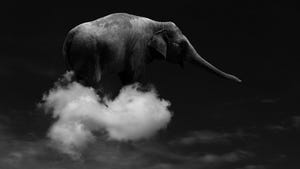 What the Cloud and Hadoop Mean for Big Data in 2014