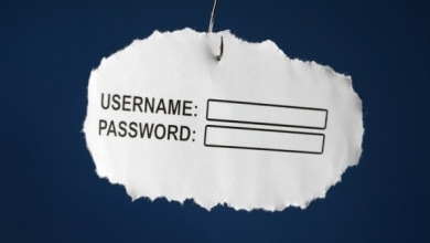 Username Password Phishing Concept