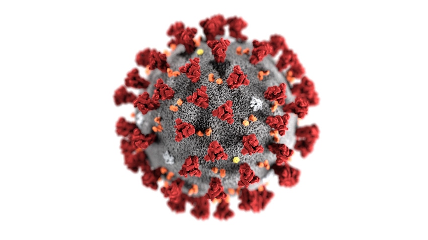 Coronavirus DNA
