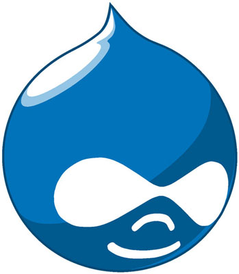 MSPs: Is Drupal Right for Your Site?