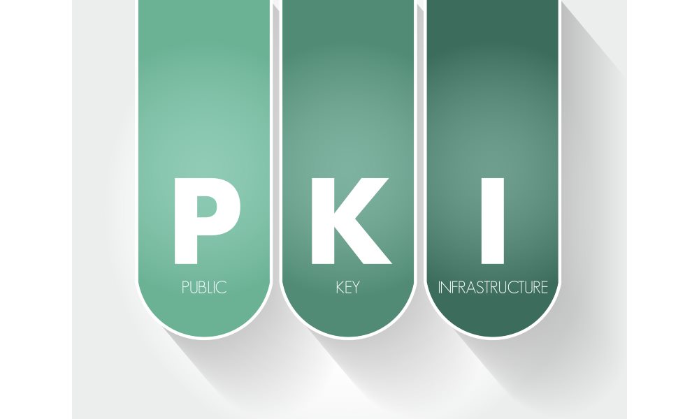 PKI Solutions and 5 Reasons Partners Should Consider Them