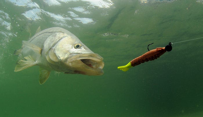 Fishing with Lure