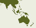 Top 25 Asia, Australia, New Zealand Managed Services Providers (MSPs) List