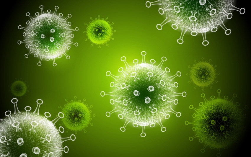 Green coronavirus_COVID-19