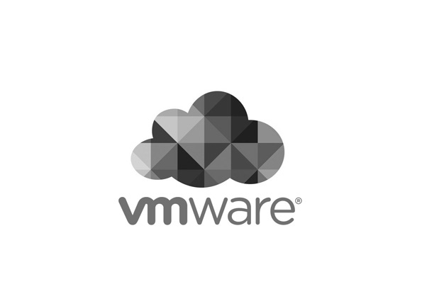 VMware Appoints Industry Veterans for EUC Team