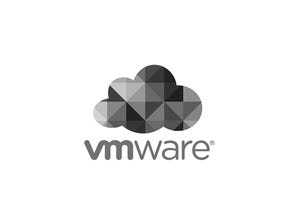 VMware Appoints Industry Veterans for EUC Team