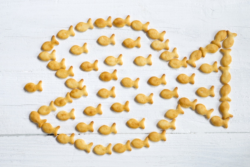 Mergers acquisitions m&a goldfish crackers