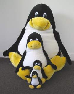 Who Will Win As Linux Market Consolidates?