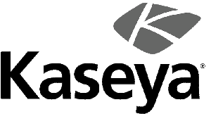 Kaseya Spruces Up Partner Program, Names New Channel Execs
