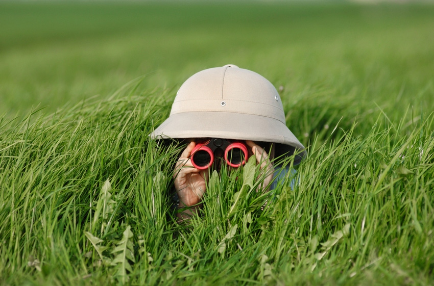 Hunting_binoculars in grass
