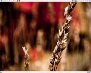 Could MATE Be the Savior of the GNOME 2 Linux Interface?