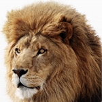 Mac OS X Lion Server Now Standard, Preview Via App Store