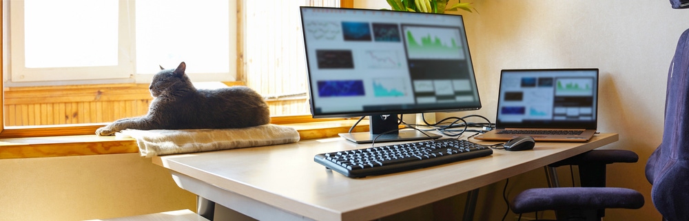 Work from home_home office with cat