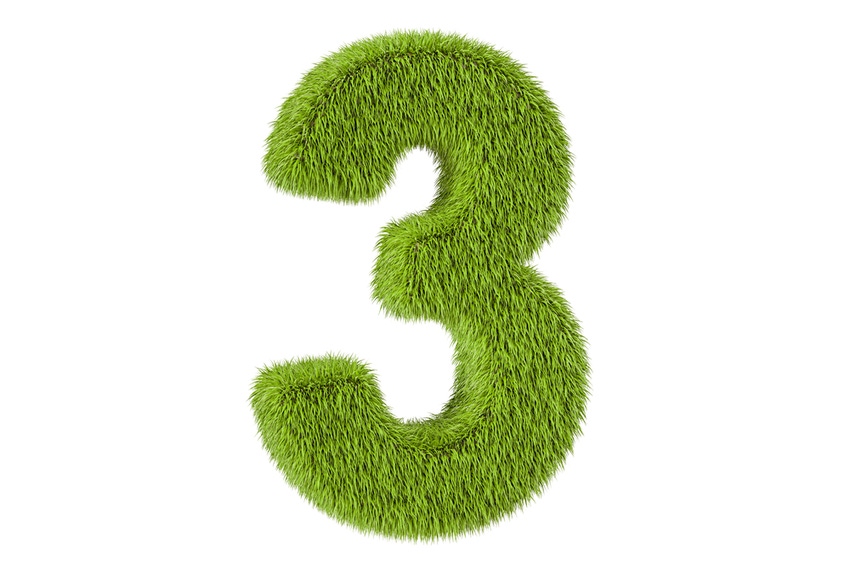 Number 3 Made of Grass