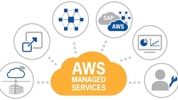 Live Reaction Industry Speaks Out About AWS Managed Services