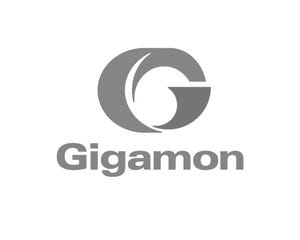 Gigamon Launches First Global Partner Program