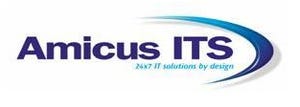 Amicus ITS: Building Global Managed Services Network?