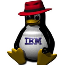 Red Hat Helps IBM Pursue Sun Customers