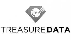 Treasure Data Gets Funding for Cloud-Based Big Data Analytics