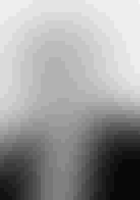 Mustarde-Robert_Celona-e1648571105668.jpg