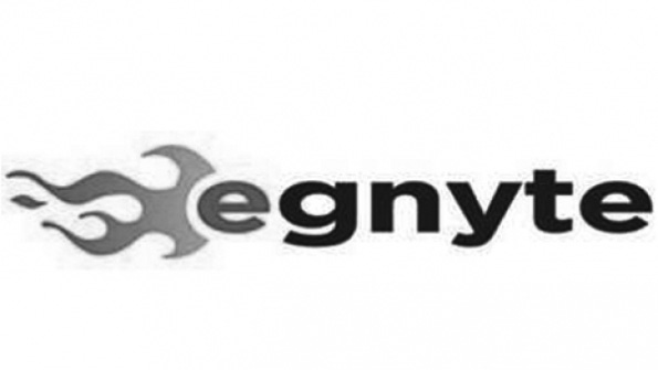 Egnyte Storage Service Combines Google Cloud, Local Data