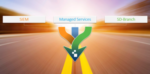 Arrows converging and labeled Managed Services