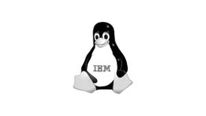 IBM x86 Server Sale to Lenovo: Good for Linux, Windows?