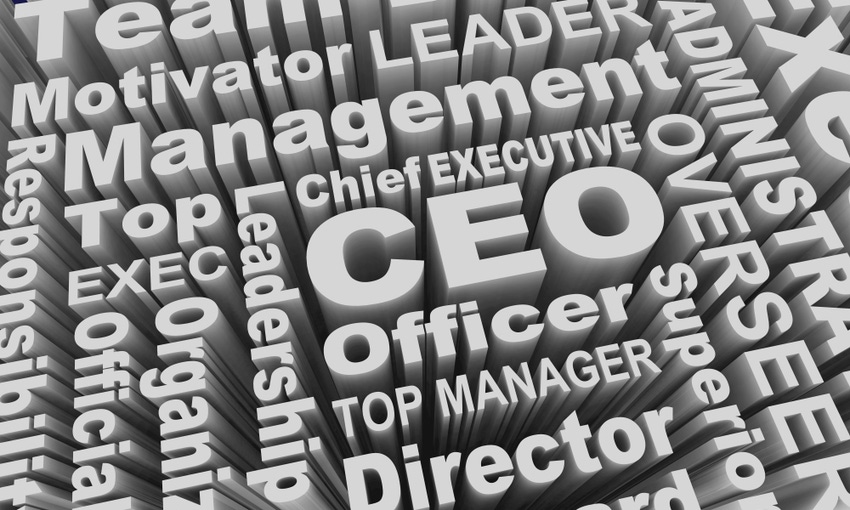CEO and related words