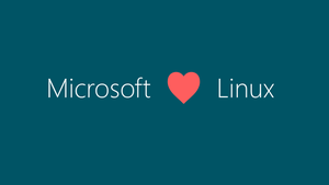 Microsoft's Linux and Open Source Moves: A Look Back