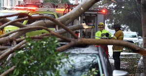 San Francisco firefighters prepare to remove a large tree branch that fell onto a parked car due to high winds on January