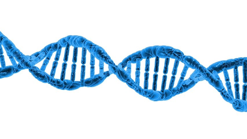 10x Genomics Seeks to Take Larger Piece of Genomics Market