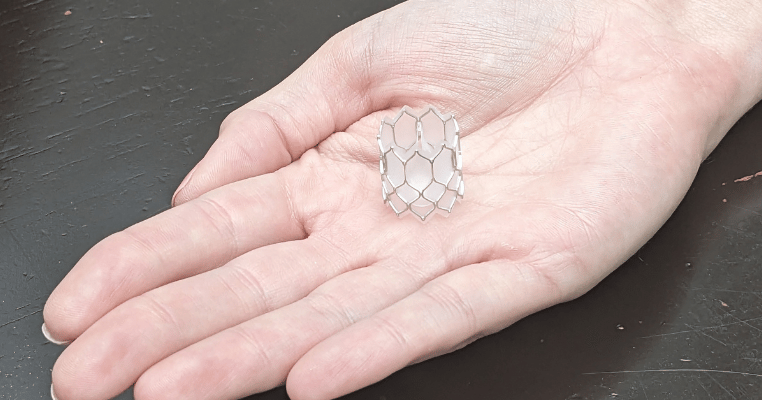 Non-Surgical Pediatric Heart Valve Developer Nabs $2M Grant