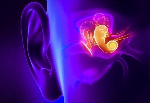 New Scope Uses Infrared Light to Image Inner Ear