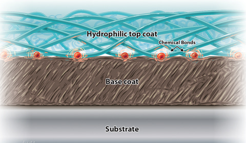Hydrophilic Coatings: Considerations for Product Development