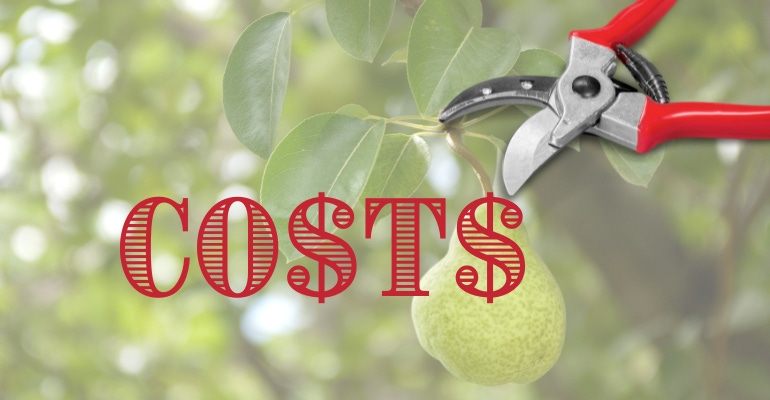 An image of a pear tree with the word "COSTS" overlaid and a pair of pruning shears