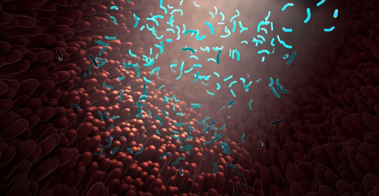 3D illustration of gut microbiota