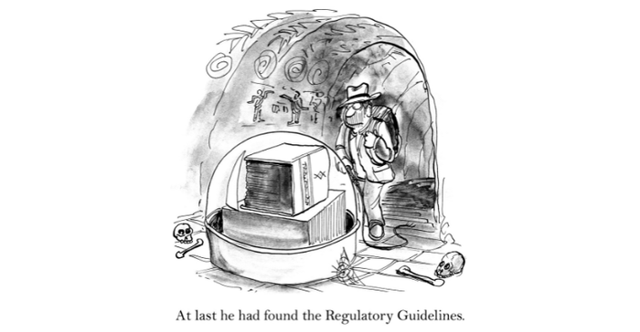 Regulatory Guidelines (medical device) editorial cartoon showing explorer deep inside a prehistoric cave. He sees a huge book, 'At last he had found the Regulatory Guidleines'.
