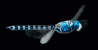 The Dragonfly robot from Festo