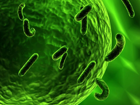Learning from Superbug Deaths: Understanding Reprocessing Regulation