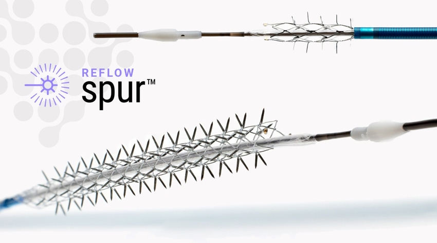 Bare Temporary Spur Stent System