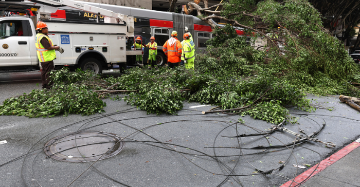 San Francisco Department of Public Works workers clean up a tree that fell on a Muni bus after a storm passed through the area on Jan. 10, 2023, as the JPM Healthcare Conference took place nearby.