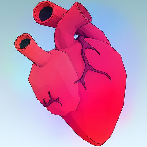 A New Way to Model the Heart Valve