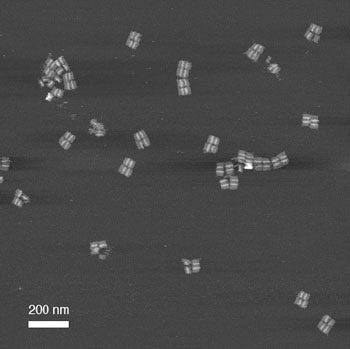 Microscopic image of nanorobots